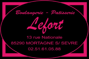 SPONSORS BOULANGERIE LEFORT - SEVRE VENDEE HANDBALL