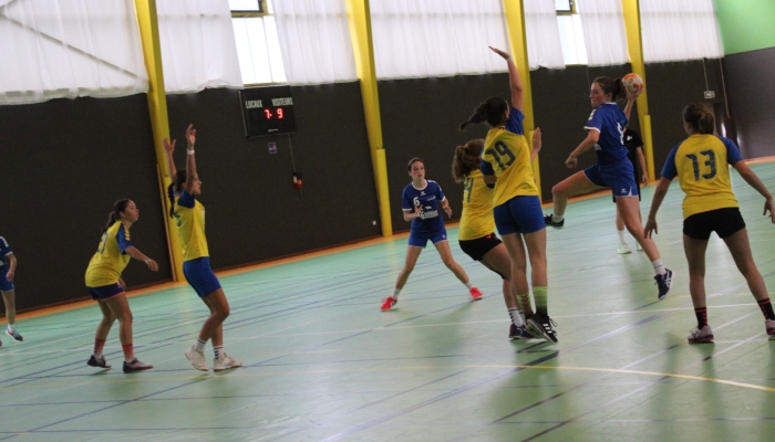 MATCH DES U17 FACE AUX HAVRE DE VIE - ANNEE 2022-2023 - SEVRE VENDEE HANDBALL