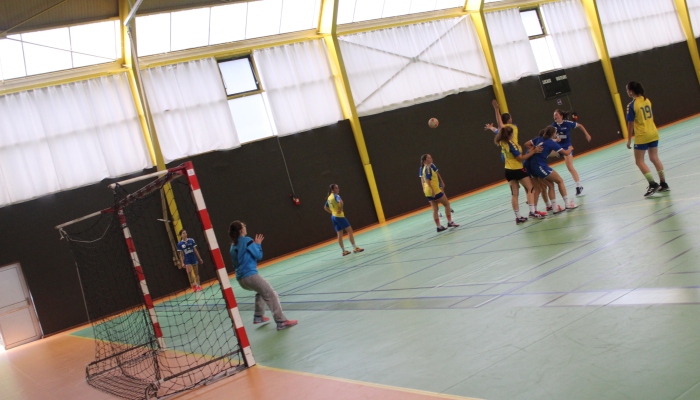 MATCH DES U17 FACE AUX HAVRE DE VIE - ANNEE 2022-2023 - SEVRE VENDEE HANDBALL