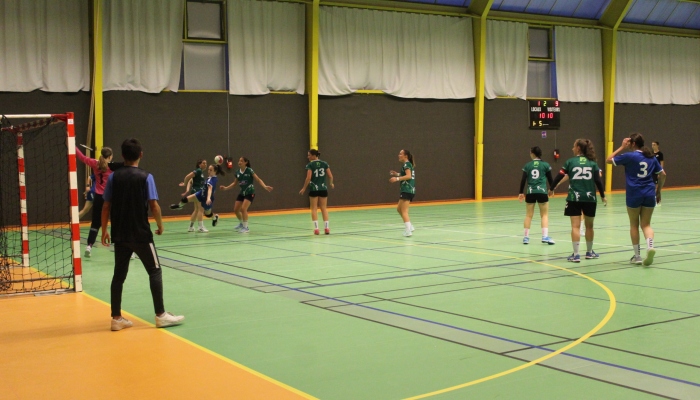 MATCH DES SENIORS FEMININES FACE A HIRONDELLE - ANNEE 2022-2023 - SEVRE VENDEE HANDBALL