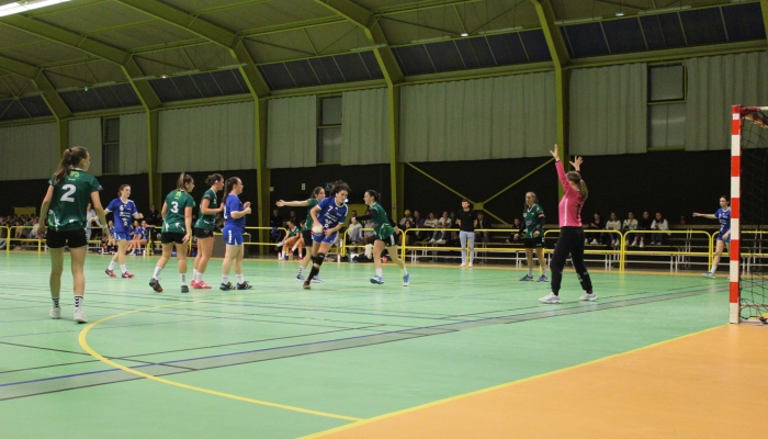 MATCH DES SENIORS FEMININES FACE A HIRONDELLE - ANNEE 2022-2023 - SEVRE VENDEE HANDBALL