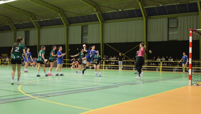 MATCH DES SENIORS FEMININES FACE A HIRONDELLE - ANNEE 2022-2023 - SEVRE VENDEE HANDBALL