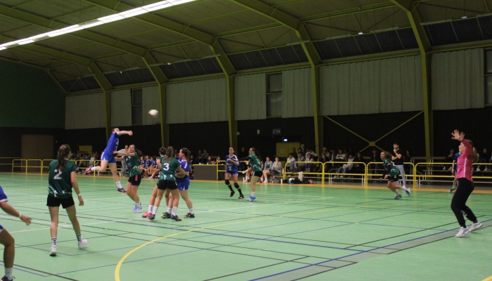 MATCH DES SENIORS FEMININES FACE A HIRONDELLE - ANNEE 2022-2023 - SEVRE VENDEE HANDBALL