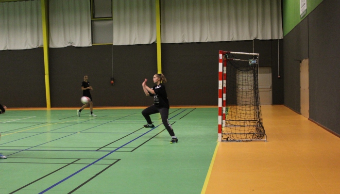 MATCH DES SENIORS FEMININES FACE A HIRONDELLE - ANNEE 2022-2023 - SEVRE VENDEE HANDBALL