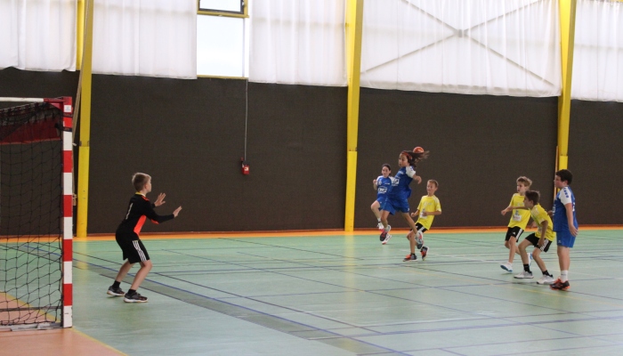 MATCH DES U12 CONFIRME FACE SL VICOMTAIS - ANNEE 2022-2023 - SEVRE VENDEE HANDBALL