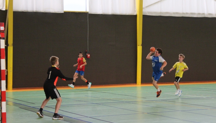 MATCH DES U12 CONFIRME FACE SL VICOMTAIS - ANNEE 2022-2023 - SEVRE VENDEE HANDBALL