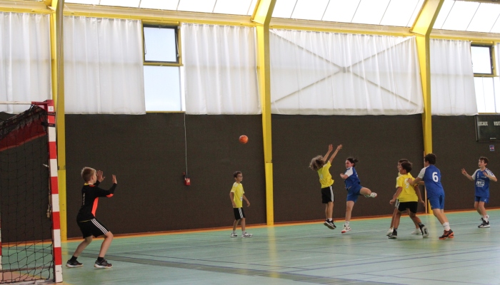 MATCH DES U12 CONFIRME FACE SL VICOMTAIS - ANNEE 2022-2023 - SEVRE VENDEE HANDBALL