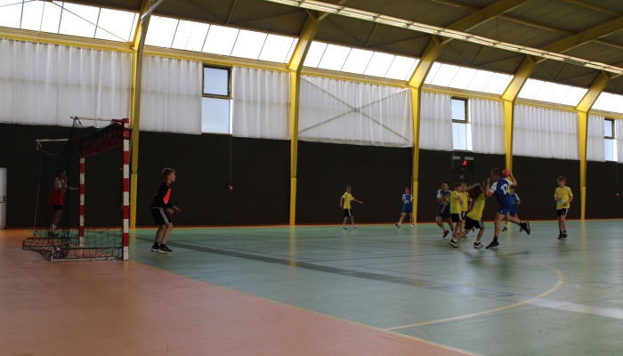 MATCH DES U12 CONFIRME FACE SL VICOMTAIS - ANNEE 2022-2023 - SEVRE VENDEE HANDBALL