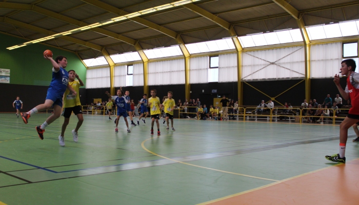 MATCH DES U12 CONFIRME FACE SL VICOMTAIS - ANNEE 2022-2023 - SEVRE VENDEE HANDBALL