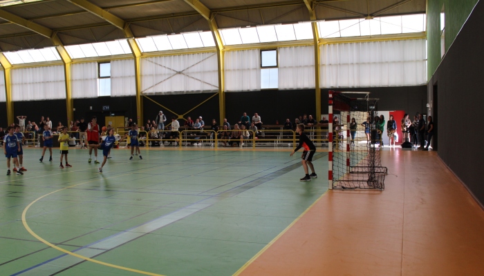 MATCH DES U12 CONFIRME FACE SL VICOMTAIS - ANNEE 2022-2023 - SEVRE VENDEE HANDBALL