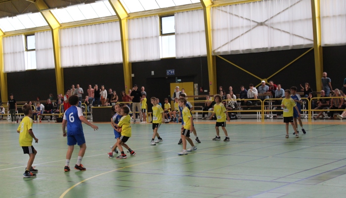 MATCH DES U12 CONFIRME FACE SL VICOMTAIS - ANNEE 2022-2023 - SEVRE VENDEE HANDBALL