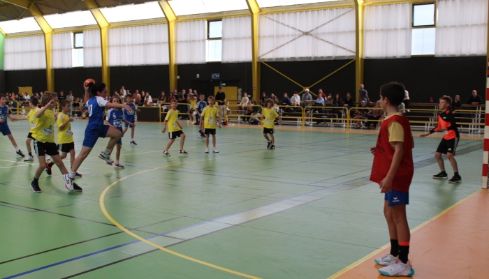 MATCH DES U12 CONFIRME FACE SL VICOMTAIS - ANNEE 2022-2023 - SEVRE VENDEE HANDBALL