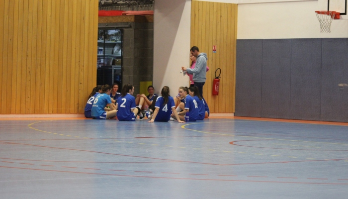 MATCH DES SENIORS FEMININES FACE A NOYANT*BEL AIR - ANNEE 2022-2023 - SEVRE VENDEE HANDBALL